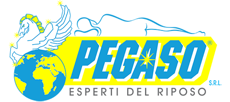 Pegaso srl